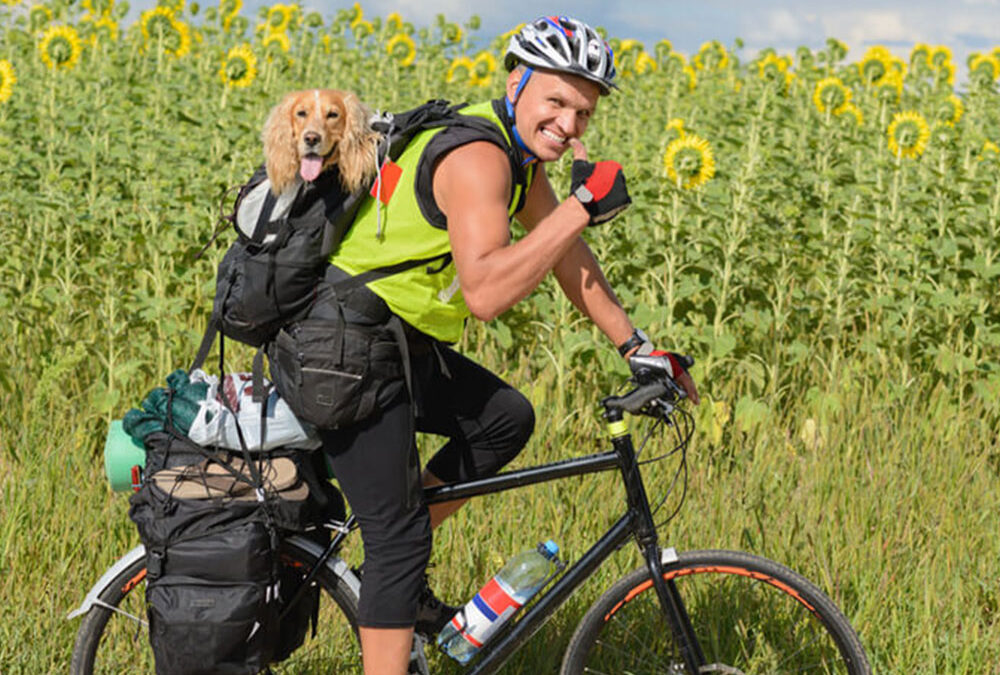 Consejos para ir a un camping con tu mascota